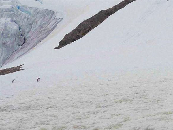 வெப்பநிலை மாற்றம்