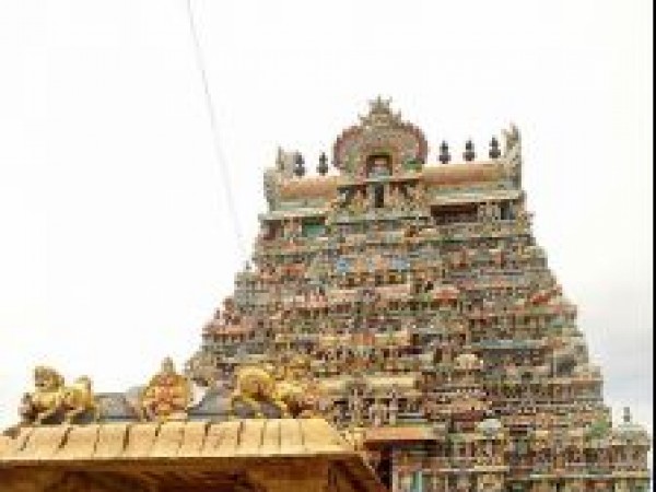 கோவில்களில் வணங்கப்படும் பல்லிகள் 