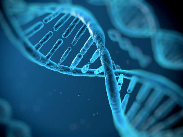 குடும்ப மரபணு 