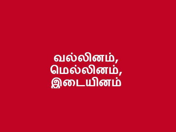 வல்லினம், மெல்லினம், இடையினம் 