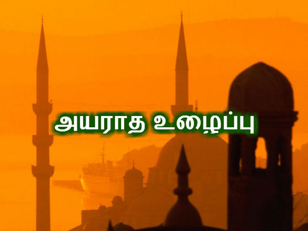 அயராத உழைப்பு 