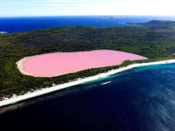 லேக் ஹில்லர் 