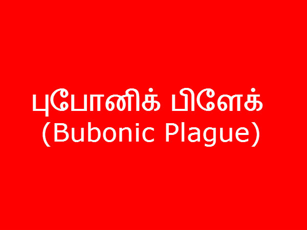 புபோனிக் பிளேக் - (Bubonic Plague) 