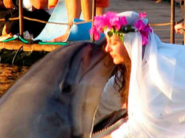 டால்ஃபின் 