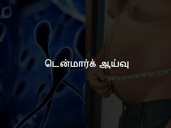 டென்மார்க் ஆய்வு 