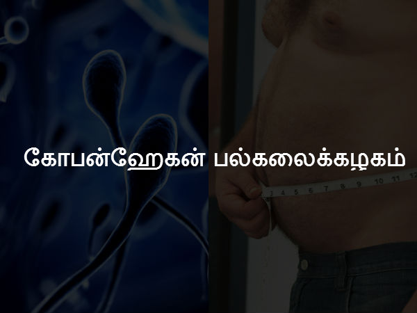 கோபன்ஹேகன் பல்கலைக்கழகம் 