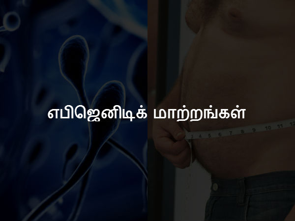 எபிஜெனிடிக் மாற்றங்கள் 