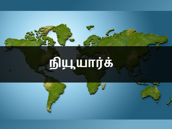 நியூயார்க் 