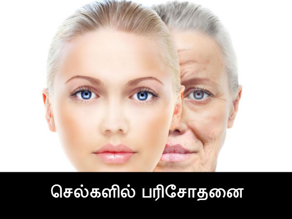 செல்களில் பரிசோதனை 