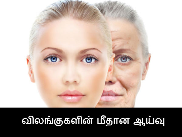 விலங்குகளின் மீதான ஆய்வு 