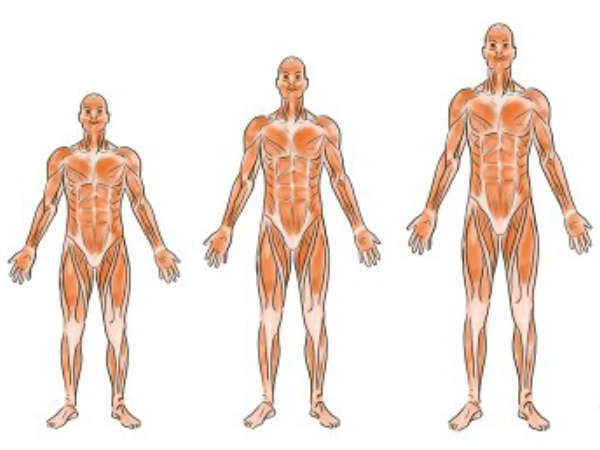 குரலும்.. உயரமும்...