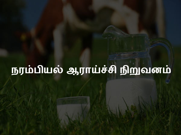 நரம்பியல் ஆராய்ச்சி நிறுவனம் 