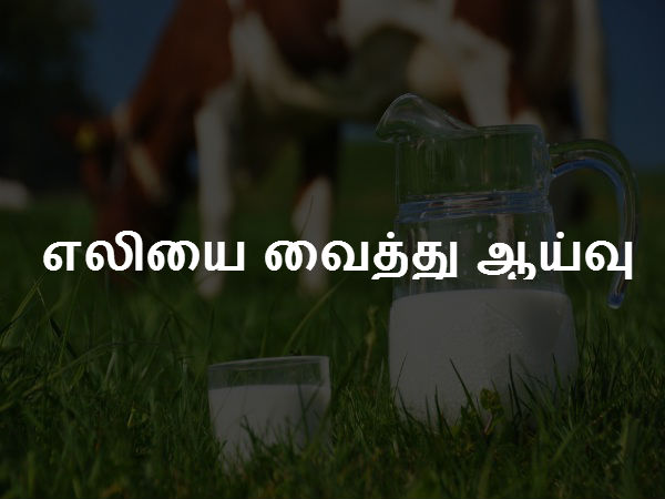 எலியை வைத்து ஆய்வு 