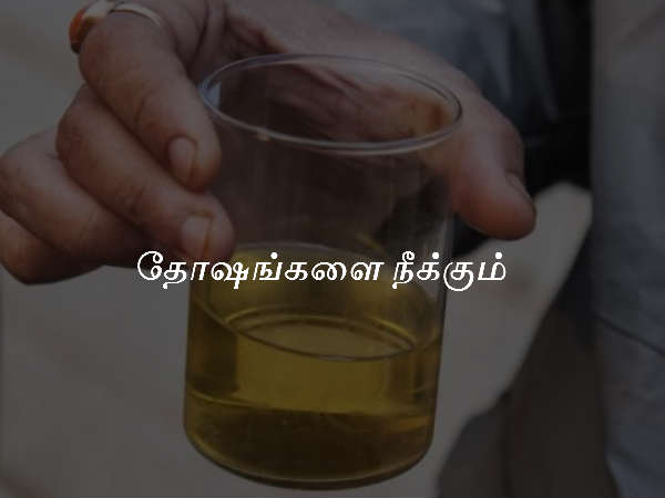 தோஷங்களை நீக்கும்