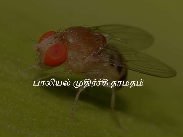 பாலியல் முதிர்ச்சி தாமதம்