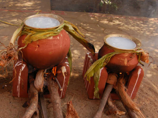 பால் தவிர்த்து 