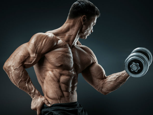 தசை செயல் திறன் 