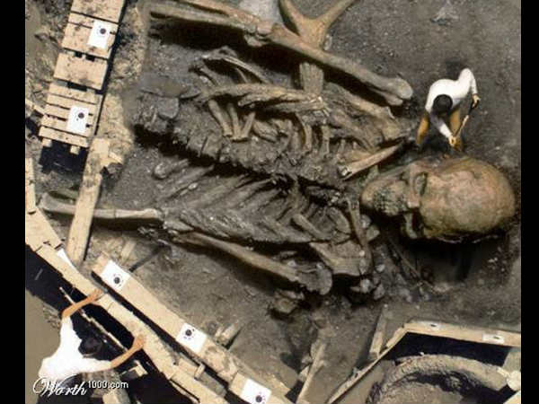 மிகப்பெரிய எலும்புக்கூடு மிகப்பெரிய எலும்புக்கூடு