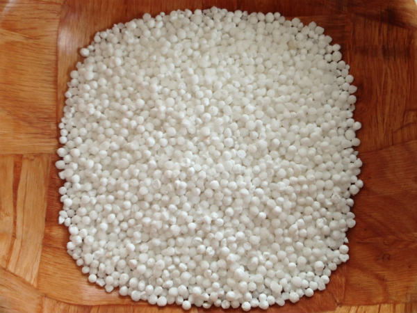 ஜவ்வரிசி