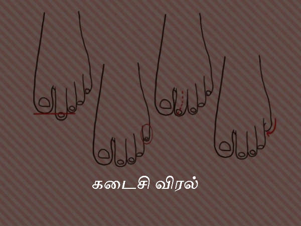 கடைசி விரல்