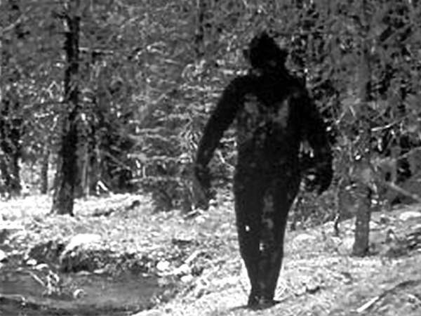 பெரிய பாதம் - BigFoot 