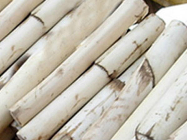 நீர்க்கட்டி 