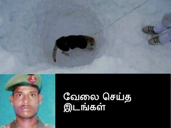 வேலை செய்த இடங்கள் வேலை செய்த இடங்கள்