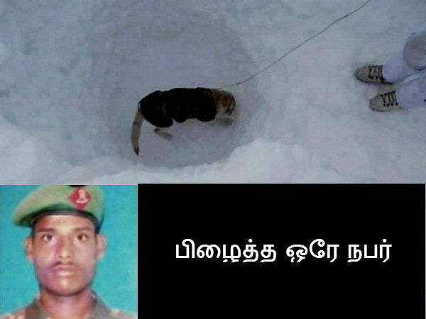 பிழைத்த ஒரே நபர் பிழைத்த ஒரே நபர்