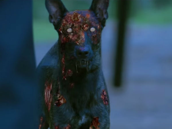 மனித சதை 