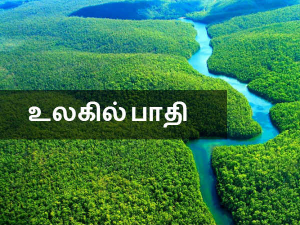 உலகில் பாதி