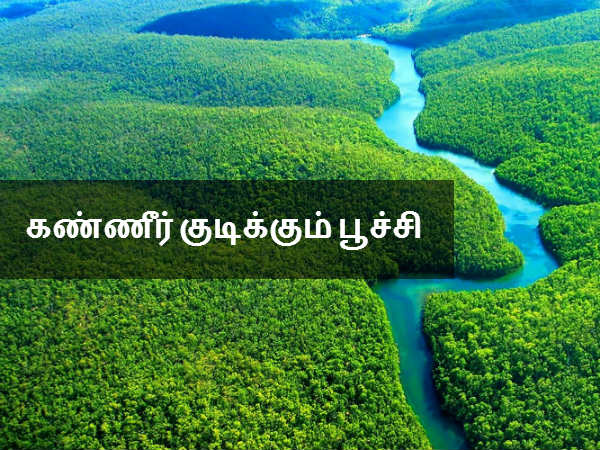 கண்ணீர் குடிக்கும் பூச்சி 