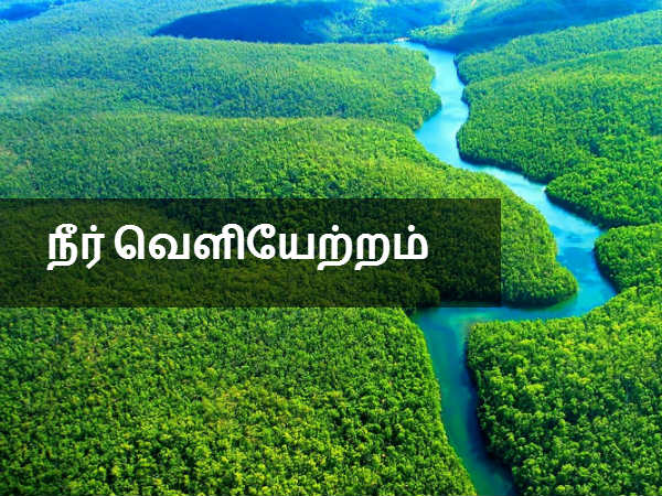 நீர் வெளியேற்றம் 