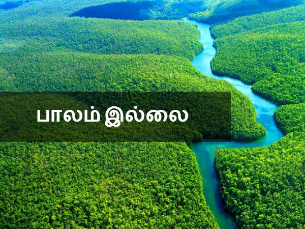 பாலம் இல்லை 