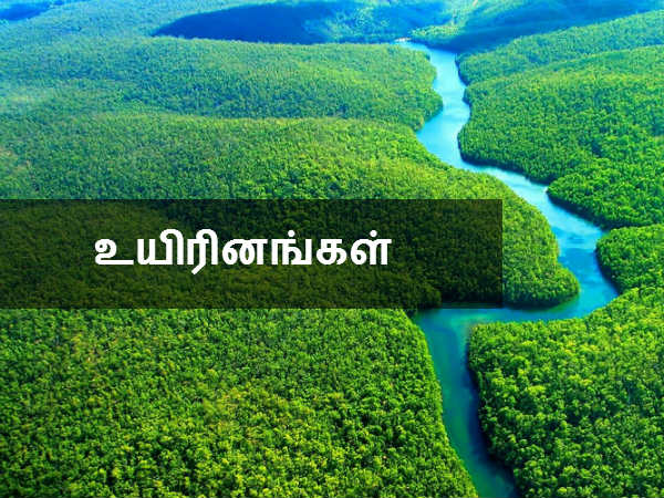 உயிரினங்கள் 