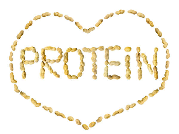 புரோட்டீன்