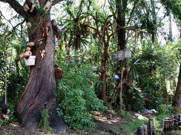 ஐலா டி லாஸ் முனேகாஸ்