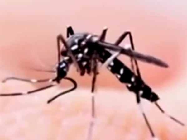 வைரஸ் போர் 