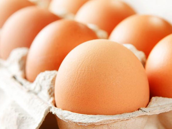 புரதச்சத்து நிறைந்த உணவுகள் 