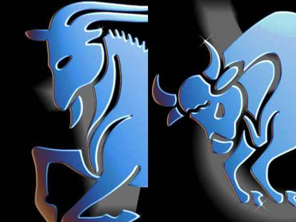 மகரம் மற்றும் ரிஷபம் 