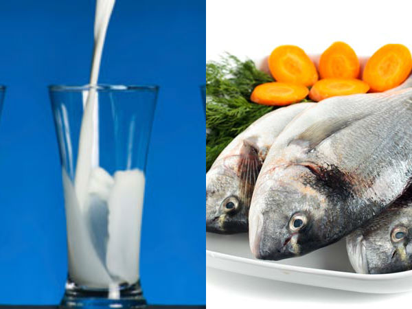 மீன் + பால் மீன் + பால்