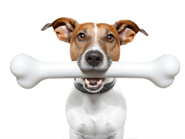 கெட்ட சகுனம் 2