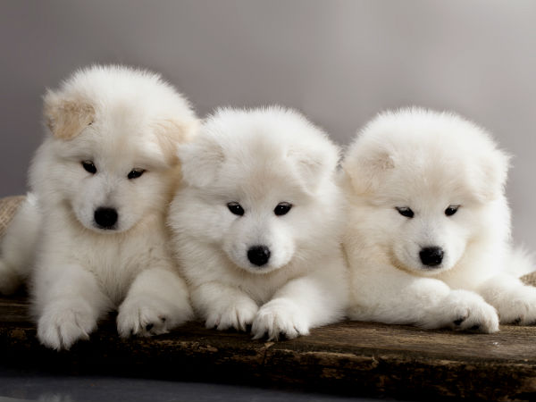 கெட்ட சகுனம் 3