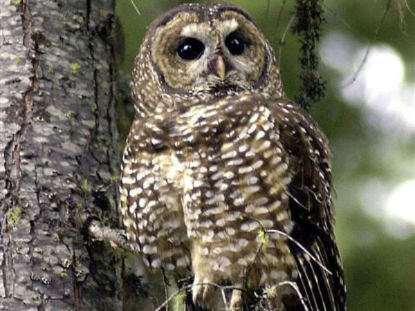 கெட்ட சகுனம் 10