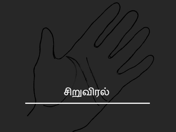 சிறுவிரல் 