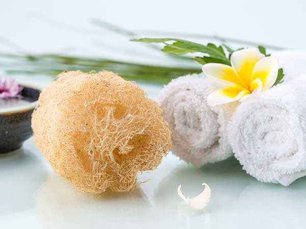 பாத்திங் ஸ்பான்ஜ் 