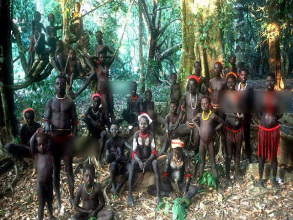 ஜரவா பழங்குடியினர் (Jarawa), அந்தமான் 
