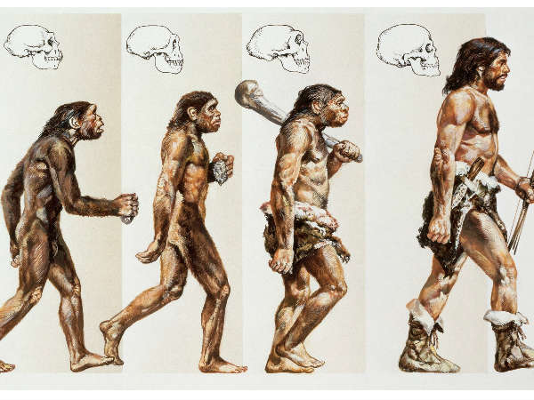 குரங்கில் இருந்து மனிதன் வந்தான்