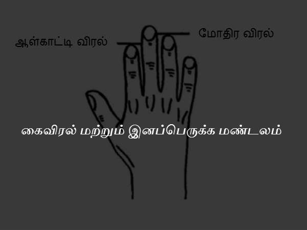 கைவிரல் மற்றும் இனப்பெருக்க மண்டலம் கைவிரல் மற்றும் இனப்பெருக்க மண்டலம்