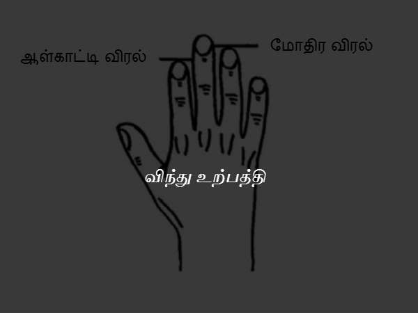விந்து உற்பத்தி விந்து உற்பத்தி