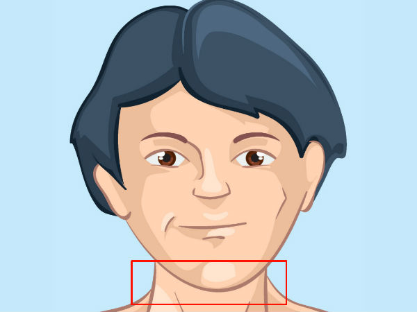 தாடை மற்றும் கழுத்து
